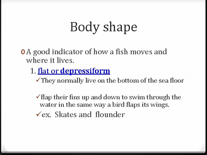 Body shape 0 A good indicator of how a fish moves and where it