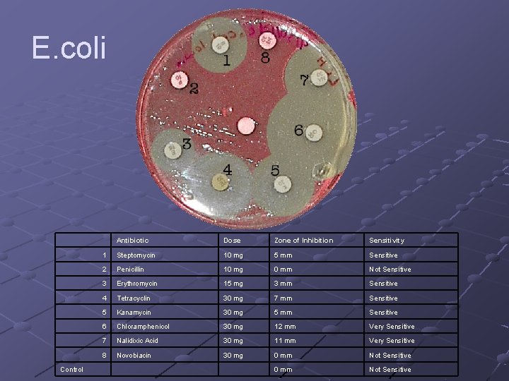 E. coli Control Antibiotic Dose Zone of Inhibition Sensitivity 1 Steptomycin 10 mg 5