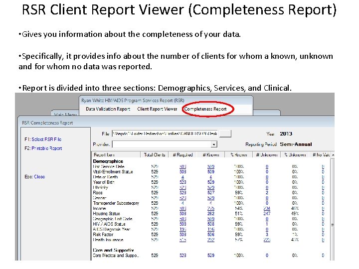 RSR Client Report Viewer (Completeness Report) • Gives you information about the completeness of