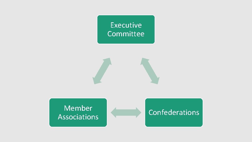 Executive Committee Member Associations Confederations 