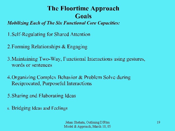 Jehan Shehata, Outlining DIRtm Model & Approach, March 10, 05 19 