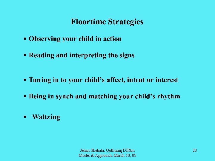 Jehan Shehata, Outlining DIRtm Model & Approach, March 10, 05 20 
