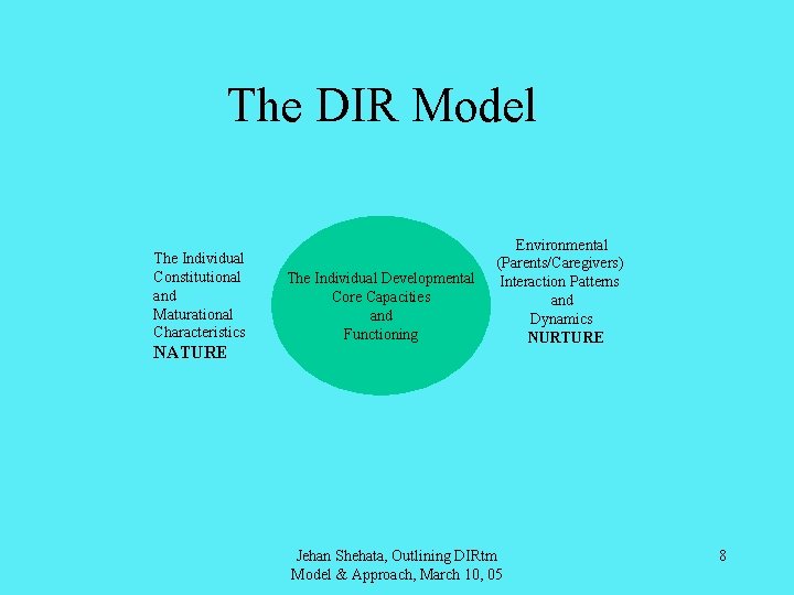 The DIR Model The Individual Constitutional and Maturational Characteristics NATURE The Individual Developmental Core