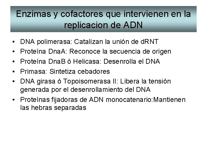 Enzimas y cofactores que intervienen en la replicacion de ADN • • • DNA