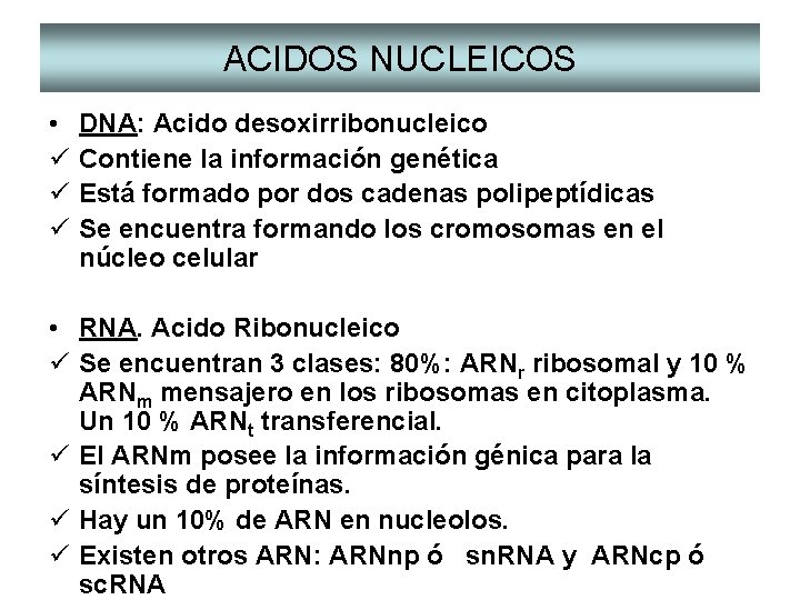 ACIDOS NUCLEICOS • ü ü ü DNA: Acido desoxirribonucleico Contiene la información genética Está