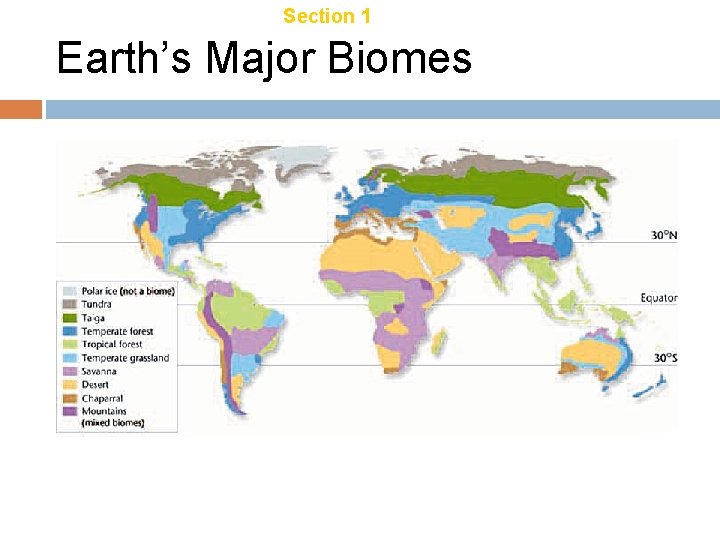 Chapter 21 Section 1 Terrestrial Biomes Earth’s Major Biomes 