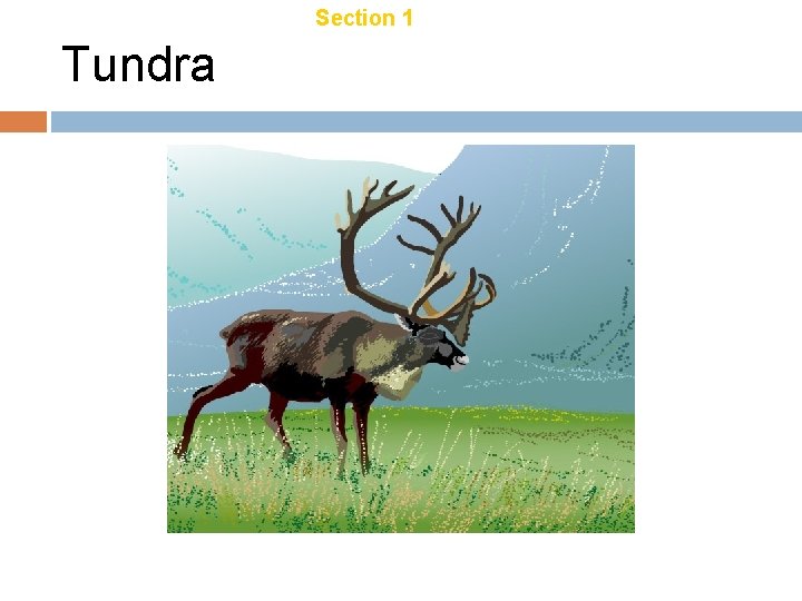 Chapter 21 Tundra Section 1 Terrestrial Biomes 