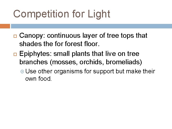 Competition for Light Canopy: continuous layer of tree tops that shades the forest floor.