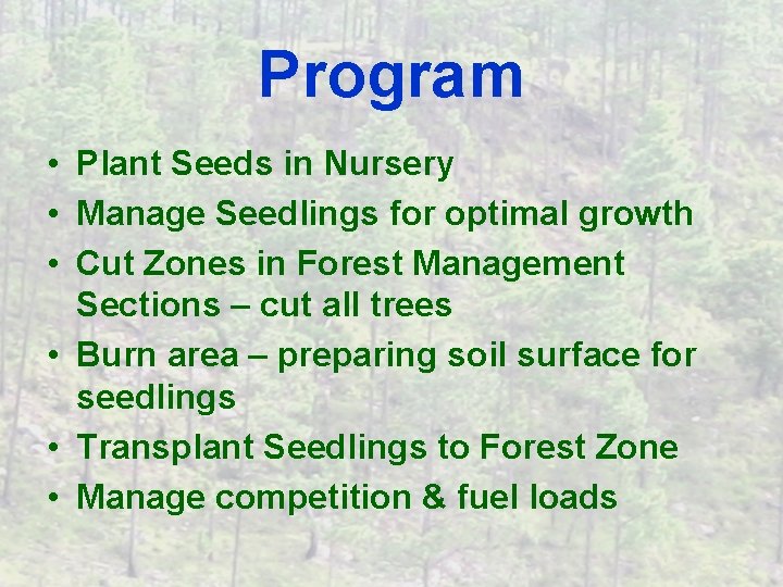 Program • Plant Seeds in Nursery • Manage Seedlings for optimal growth • Cut