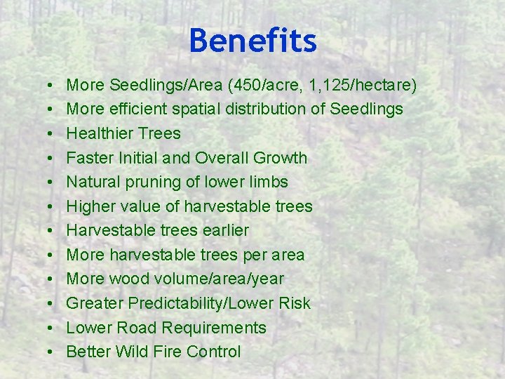 Benefits • • • More Seedlings/Area (450/acre, 1, 125/hectare) More efficient spatial distribution of