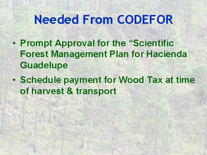 Needed From CODEFOR • Prompt Approval for the “Scientific Forest Management Plan for Hacienda