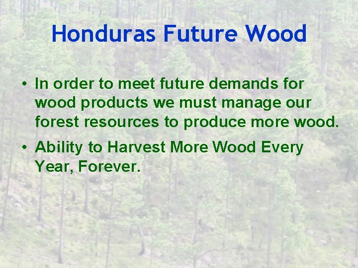 Honduras Future Wood • In order to meet future demands for wood products we