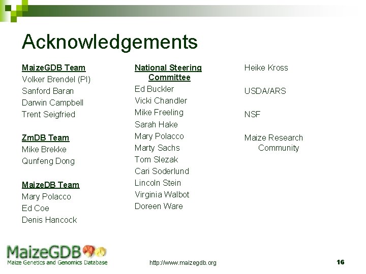 Acknowledgements Maize. GDB Team Volker Brendel (PI) Sanford Baran Darwin Campbell Trent Seigfried Zm.