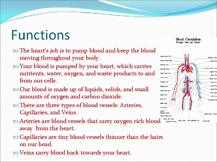 Functions The heart’s job is to pump blood and keep the blood moving throughout