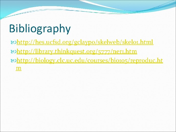 Bibliography http: //hes. ucfsd. org/gclaypo/skelweb/skel 01. html http: //library. thinkquest. org/5777/ner 1. htm http: