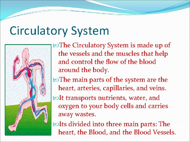 Circulatory System The Circulatory System is made up of the vessels and the muscles