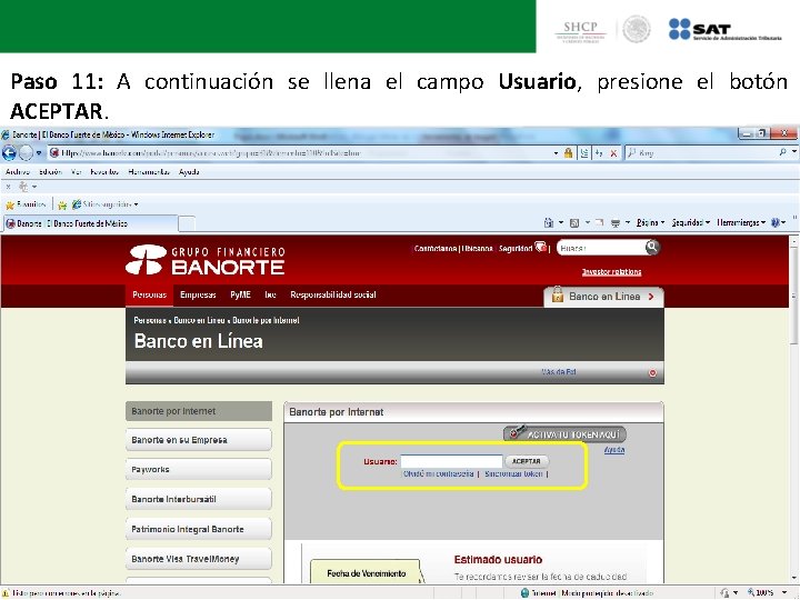 Paso 11: A continuación se llena el campo Usuario, presione el botón ACEPTAR. 