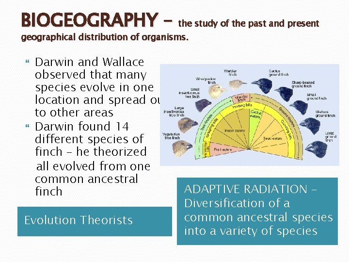 BIOGEOGRAPHY – the study of the past and present geographical distribution of organisms. Darwin