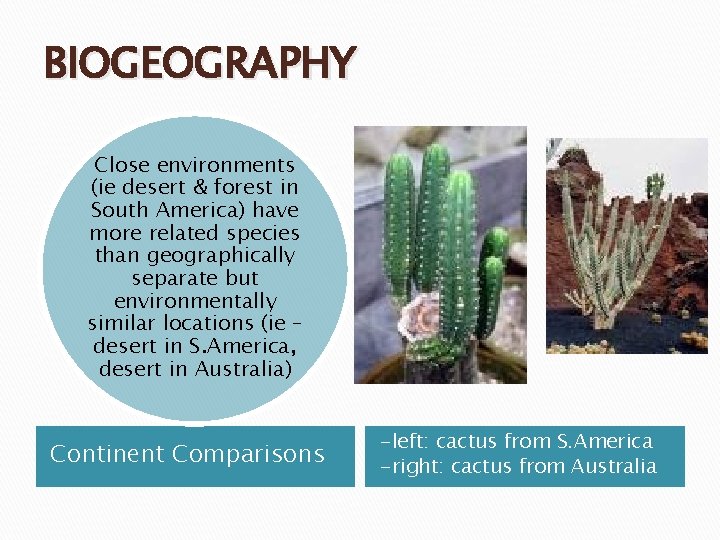 BIOGEOGRAPHY Close environments (ie desert & forest in South America) have more related species