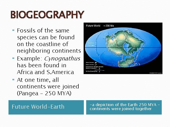 BIOGEOGRAPHY Fossils of the same species can be found on the coastline of neighboring