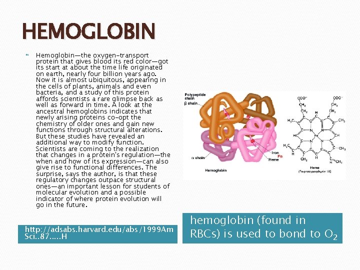 HEMOGLOBIN Hemoglobin—the oxygen-transport protein that gives blood its red color—got its start at about