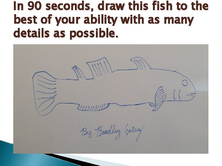 In 90 seconds, draw this fish to the best of your ability with as