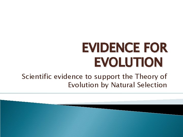 EVIDENCE FOR EVOLUTION Scientific evidence to support the Theory of Evolution by Natural Selection
