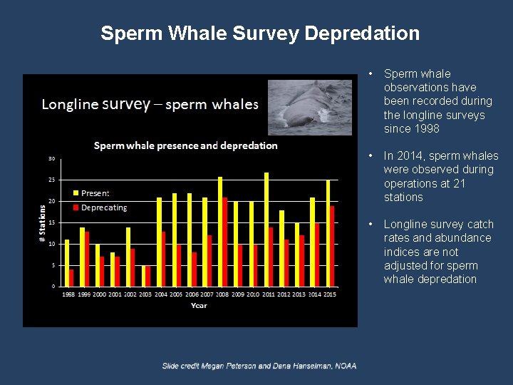 Sperm Whale Survey Depredation • Sperm whale observations have been recorded during the longline