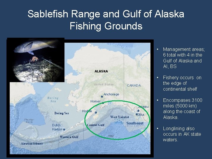 Sablefish Range and Gulf of Alaska Fishing Grounds • Management areas; 6 total with