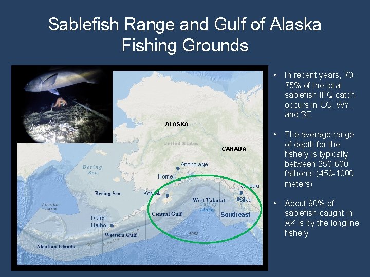 Sablefish Range and Gulf of Alaska Fishing Grounds • In recent years, 7075% of