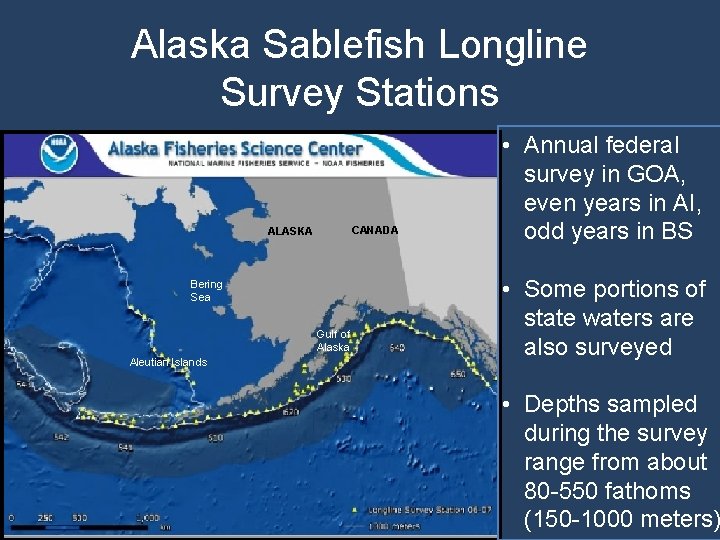 Alaska Sablefish Longline Survey Stations ALASKA CANADA • Annual federal survey in GOA, even