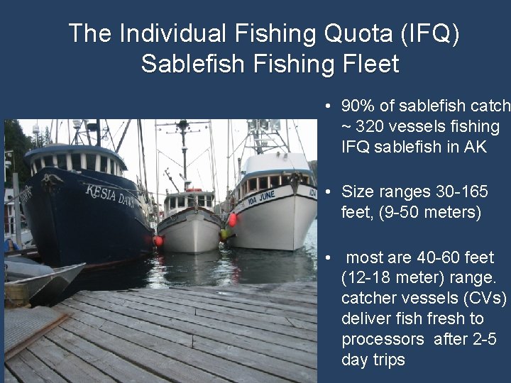 The Individual Fishing Quota (IFQ) Sablefish Fishing Fleet • 90% of sablefish catch ~