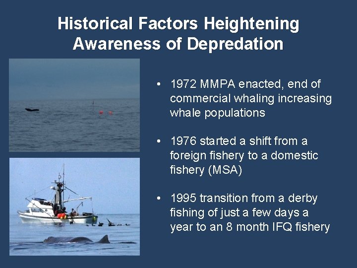 Historical Factors Heightening Awareness of Depredation • 1972 MMPA enacted, end of commercial whaling