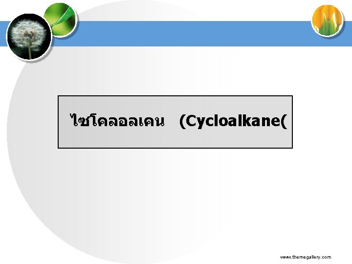 ไซโคลอลเคน (Cycloalkane( www. themegallery. com 