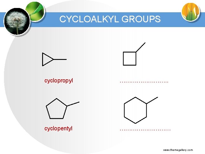 CYCLOALKYL GROUPS cyclopropyl …………. . cyclopentyl …………… www. themegallery. com 