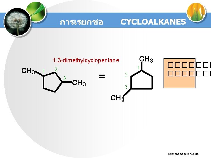 การเรยกชอ CYCLOALKANES CH 3 1, 3 -dimethylcyclopentane CH 3 1 2 3 CH 3