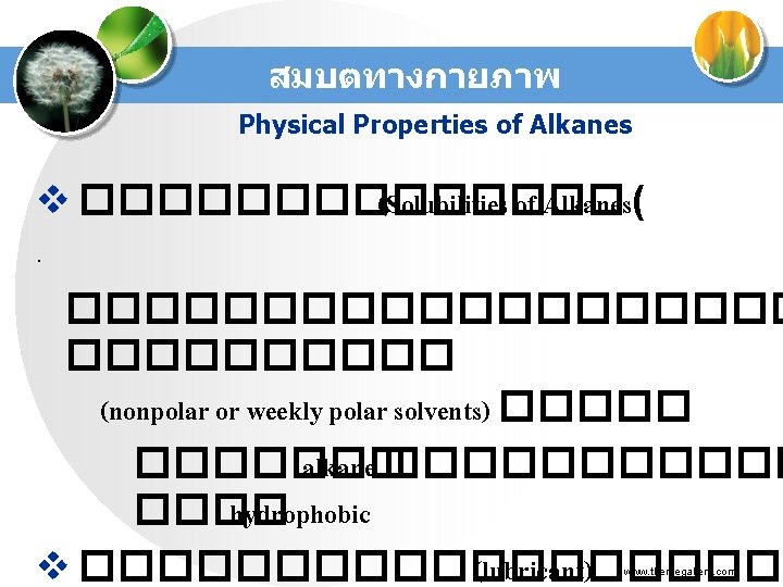 สมบตทางกายภาพ Physical Properties of Alkanes v ������� (Solubilities of Alkanes( · ���������� (nonpolar or