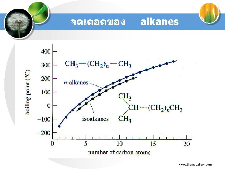 จดเดอดของ alkanes www. themegallery. com 