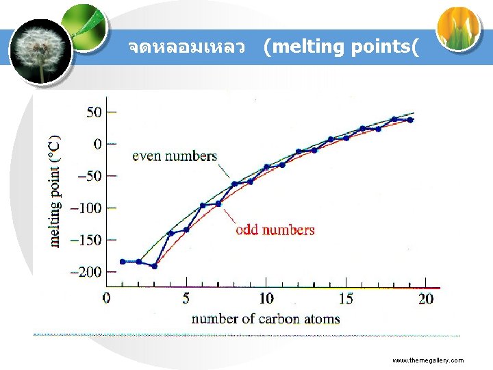 จดหลอมเหลว (melting points( www. themegallery. com 