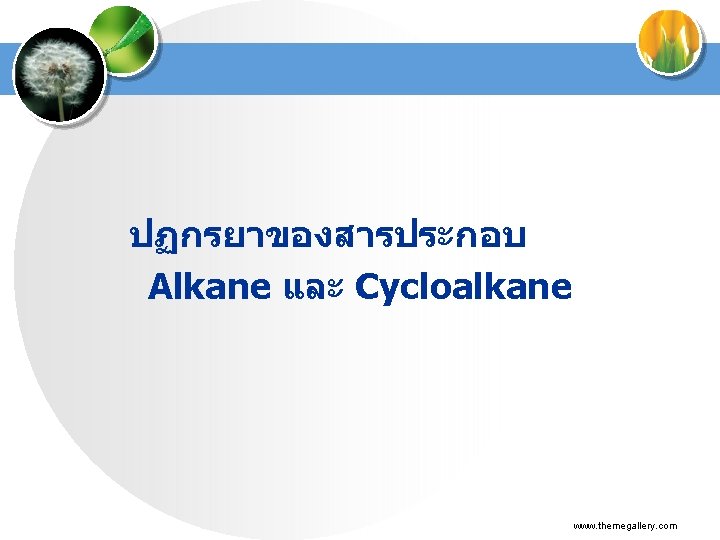 ปฏกรยาของสารประกอบ Alkane และ Cycloalkane www. themegallery. com 