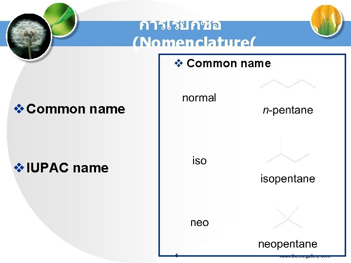 การเรยกชอ (Nomenclature( v Common name v IUPAC name 5 www. themegallery. com 