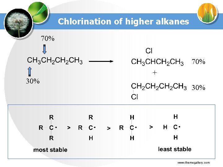 Chlorination of higher alkanes 70% + 30% www. themegallery. com 