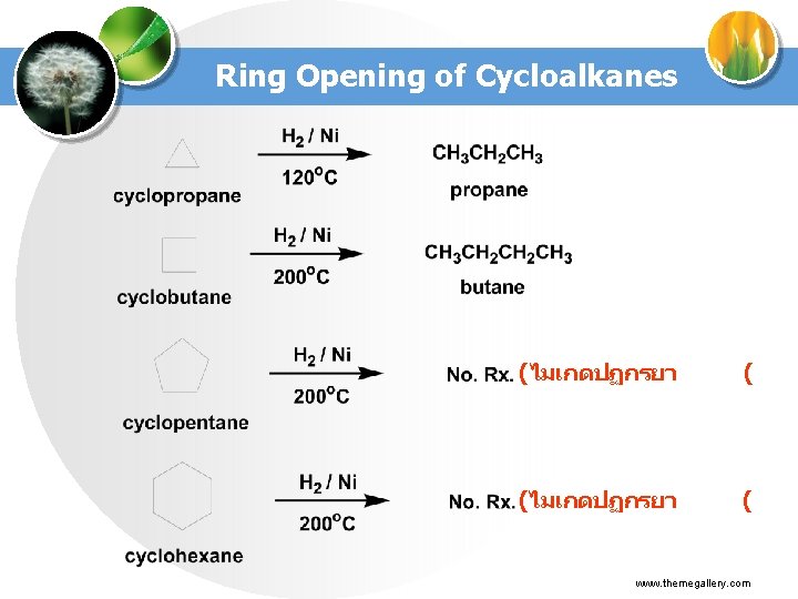 Ring Opening of Cycloalkanes (ไมเกดปฏกรยา ( www. themegallery. com 