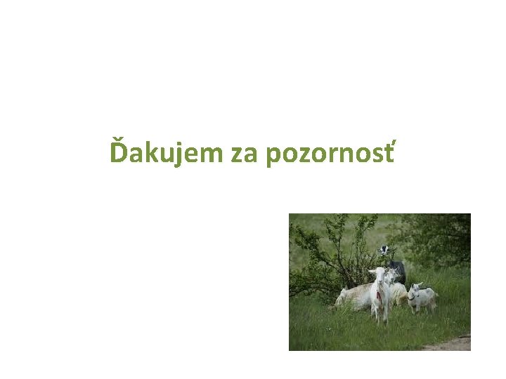 Ďakujem za pozornosť 