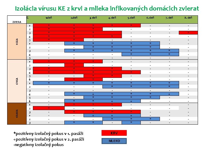 Izolácia vírusu KE z krvi a mlieka infikovaných domácich zvierat č. 1. deň 2.