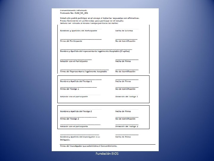 Fundación BIOS 