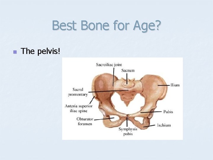 Best Bone for Age? n The pelvis! 