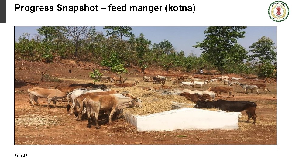 Progress Snapshot – feed manger (kotna) Page 25 