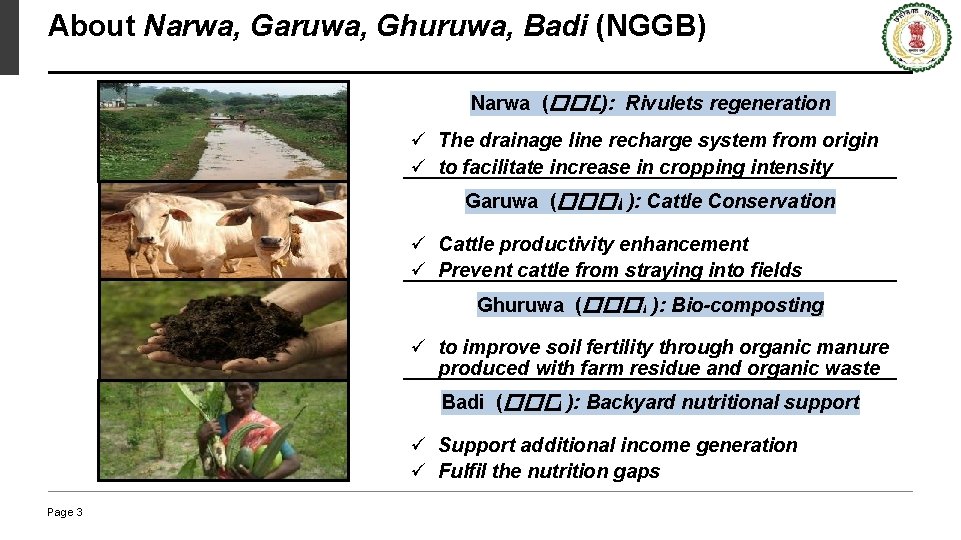 About Narwa, Garuwa, Ghuruwa, Badi (NGGB) Narwa (���� ): Rivulets regeneration ü The drainage