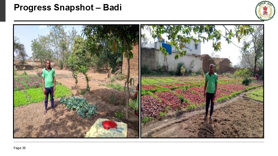 Progress Snapshot – Badi Page 36 